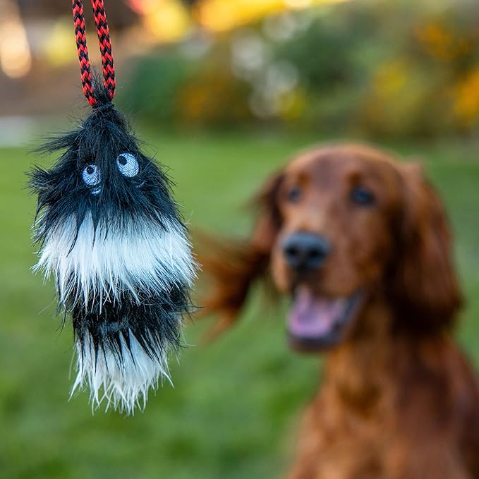 Outward Hound Tail Teaser Interactive Dog Wand Toy with Squeaky Plush Teaser and Crinkle Sounds for Active Play, Multicolored