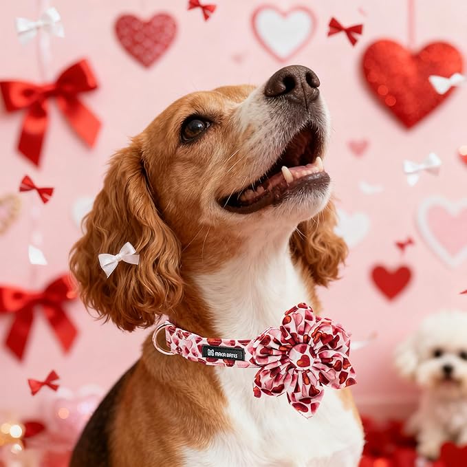 Maca Bates Valentine's Day Dog Collar with Floral Bow for Small Girl Boy Dogs,Red Love Hearts Pattern,Adjustable Durable Soft Valentine Gift for Female Male Puppy