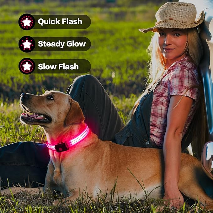 Light Up Dog Collar for Night Walking Flashing, LED Dog Collar Light Rechargeable Reflective Dog Collar Water-Resistant Adjustable Size Dog Collars for Medium Dogs