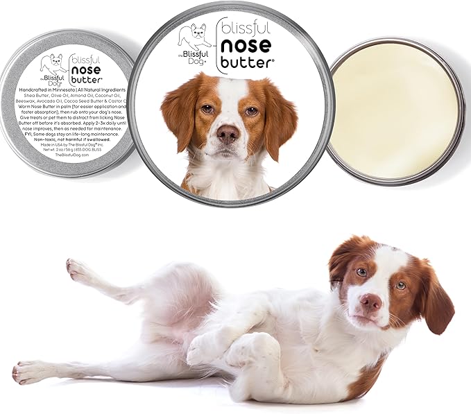The Blissful Dog Brittany Spaniel Nose Butter for Dry, Cracked Skin, Lick-Safe Dog Nose Balm with Moisturizing Shea Butter, Almond, Olive, and Essential Oils, Pet Supplies, Uncented, 1 oz.