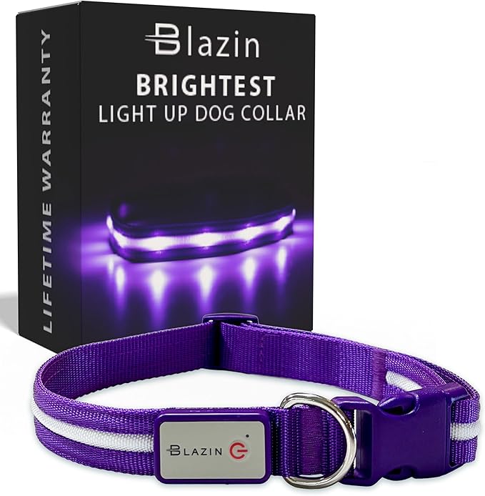 Blazin Light Up Dog Collar - The Original LED Dog Collar - USB Rechargeable - Waterproof - 1,000 Feet of Visibility - Dog Collar Light for Small, Medium, Large Dogs - USA Brand