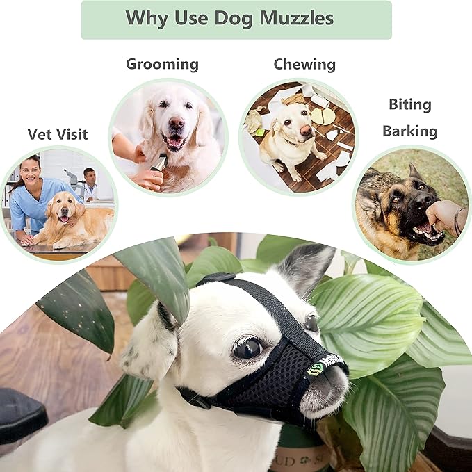 Dog Muzzle, Breathable Mesh Muzzles for Small Dogs 5-15bls, Chihuahua Muzzle for Biting Barking, Adjustable Puppy Muzzle XS Extra Small Muzzle (Comfy-Black)
