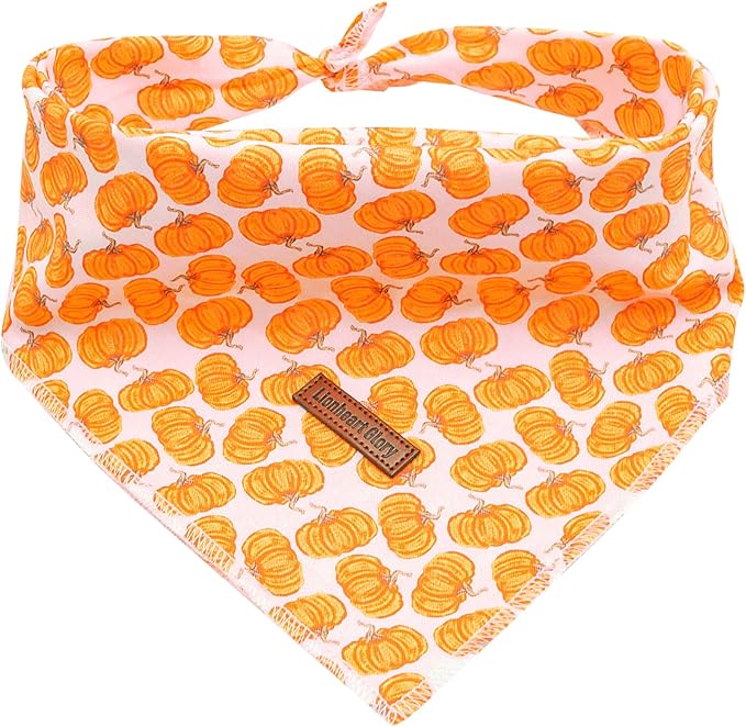 Lionheart Glory Fall Square Dog Scarf - Adjustable, Washable Soft Bandana for Medium Large Dogs (Halloween Pumpkin Theme, 1 Pack)