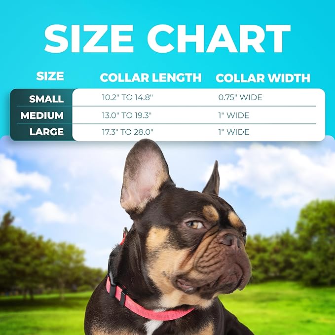 BLAZIN Reflective Dog Collar - Vibrant Color for Day and Night - Soft Neoprene Padded Collar - Adjustable Sizing -'Color Me Happy!' Dog Collars - Brighter Means Safer - (Small, Blue)