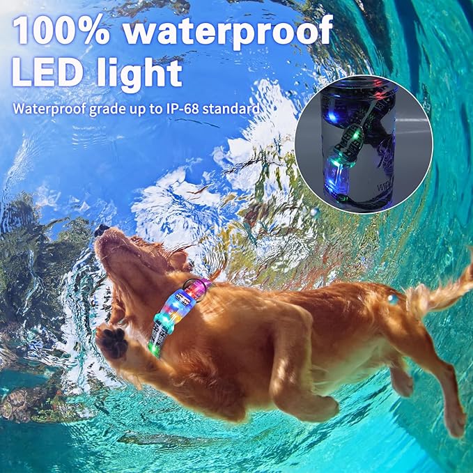 Light Up Dog Collar+LED Dog Leash,Rechargeable Waterproof LED Dog Collar Set,1.5m,3 Lighting Modes for Medium Large Dogs Walking at Night(1.5m Leash+10-25in Collar Can be Crop)