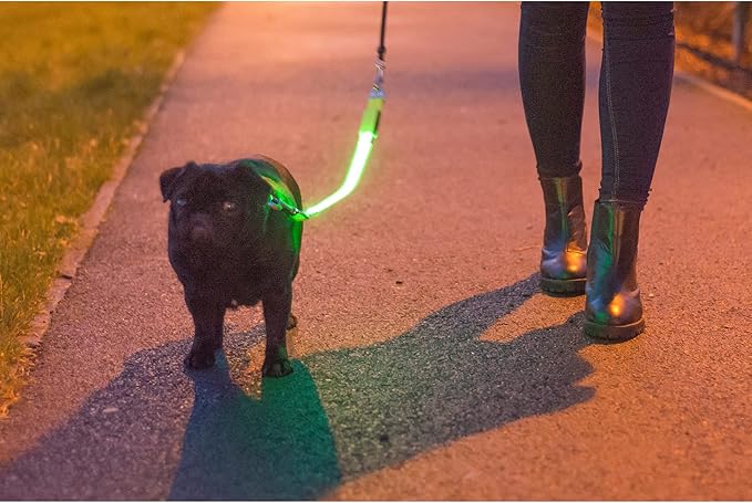 Ancol USB Hi-Vis Flashing Lead Attachment