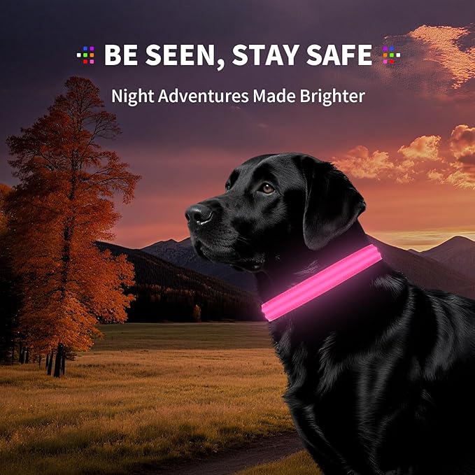 PetIsay Dog Light up Collar for Night Walking - High Visibility LED Dog Collar - Rechargeable - Waterproof - Reflective - Adjustable Lighted Glow Collars(Pink, Large)