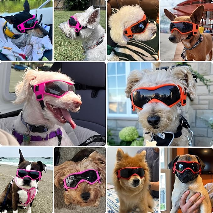 PETLESO Dog Goggles for Small to Medium Breed, Anti-UV Dog Sunglasses Outdoor Riding Driving Hiking, Pet Glasses Windproof Anti-Fog Dustproof Snowproof, Adjustable Straps, Medium Orange