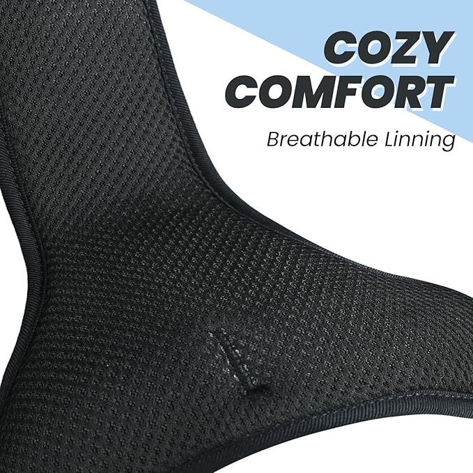 VIVAGLORY Dog Harness Easewalk No Pull Dog Harness with Handle Front Clip & Back Clip for Training Walking Lifting, No Pull Adjustable Easy On Padded Comfortable for Pet, XL, Black - Plain