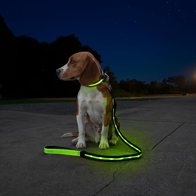 Sherry Kline LED Light-Up Pet Collar - USB Rechargeable - Flashing Glow in The Dark Size Medium, Color: Green