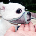 Dog Muzzle, Soft Mesh Muzzles for Small Dogs, Chihuahua Shih Tzu Yorkie Pom, Short Snout Mouth Guard for Barking Biting Grooming, Breathable Adjustable Puppy Muzzle (Mint Blue, XXS)