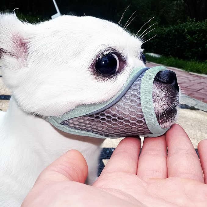 Dog Muzzle for Small Medium Dogs to Prevents Biting for Short Snouted Dogs,Westie Cockapoo Dachshund,Soft Breathable Lightweight Mesh,Open Front,for Grooming Vet Visits (Mint Blue, S)