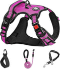 NESTROAD No Pull Dog Harness,Adjustable Oxford Dog Vest Harness with Leash,Reflective No-Choke Pet Harness with Easy Control Soft Handle for Small Dogs(Small,Fuchsia Pink)