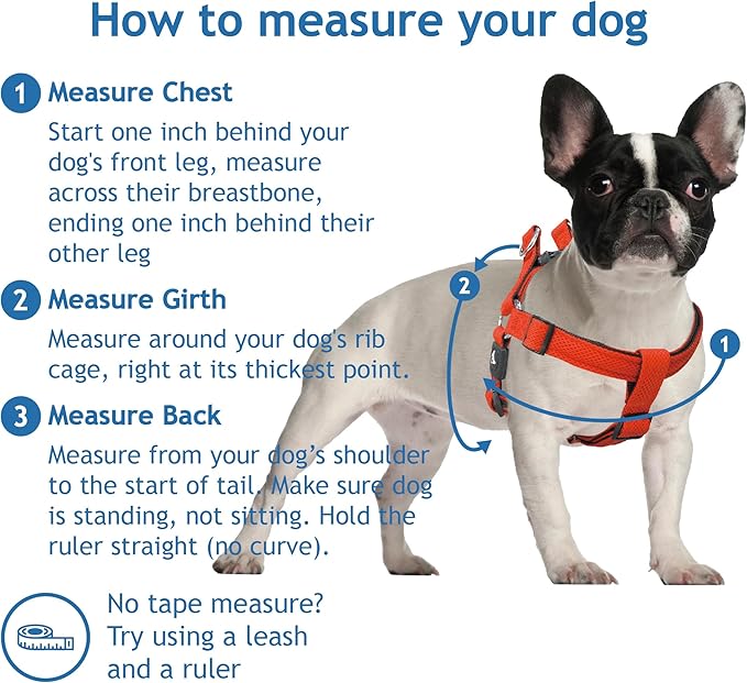 Kruz No Pull Dog Harness (Chest 26”-38”, Weight 44-88 lbs) Heavy-Duty Pet Harness for Large Breeds, Ultra-Comfort Fit, Lifetime Durability, Adjustable Dog Harness No Pull Design (Blue, Large)