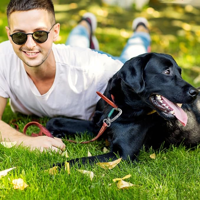 Locking Carabiner Clip 2.5" with Swivel Ring for Securing Pets, Dog Leash Harness, Camping, Hiking, Keychains