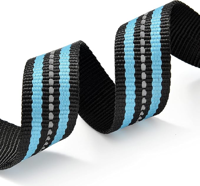 Mile High Life Reflective Dog Collar | Nylon Pet Collars wiith Buckle | Light Weight Puppy Collars | Light Blue Dog Collars for Small Dogs (Light Blue, X-S)