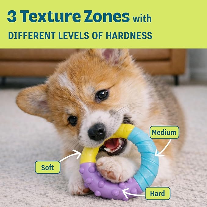 Pupstages Orka Puppy 3 Pack Dental Chew Toys, Multi-Textured, Tug Rope & Fetch, Teething Puppies & Small Dogs, 10.5"