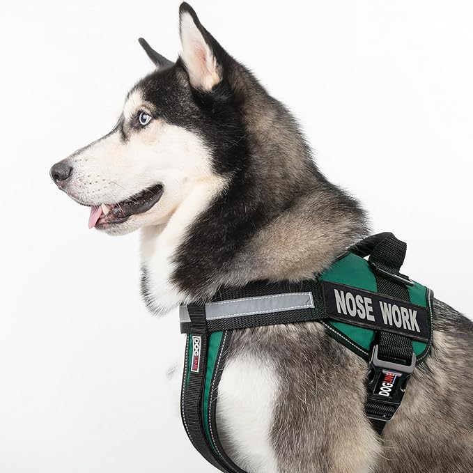 Dogline Unimax Dog Harness Vest with Nose Work Patches Adjustable Straps Breathable Neoprene for Identification Training Dogs Girth 28 to 38 in Turquoise
