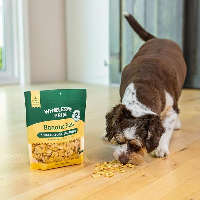 Wholesome Pride Banana Bites Dog Treats – 2-Ingredient Banana Chips for Dogs, Grain-Free, Banana & Coconut Oil, 8 oz