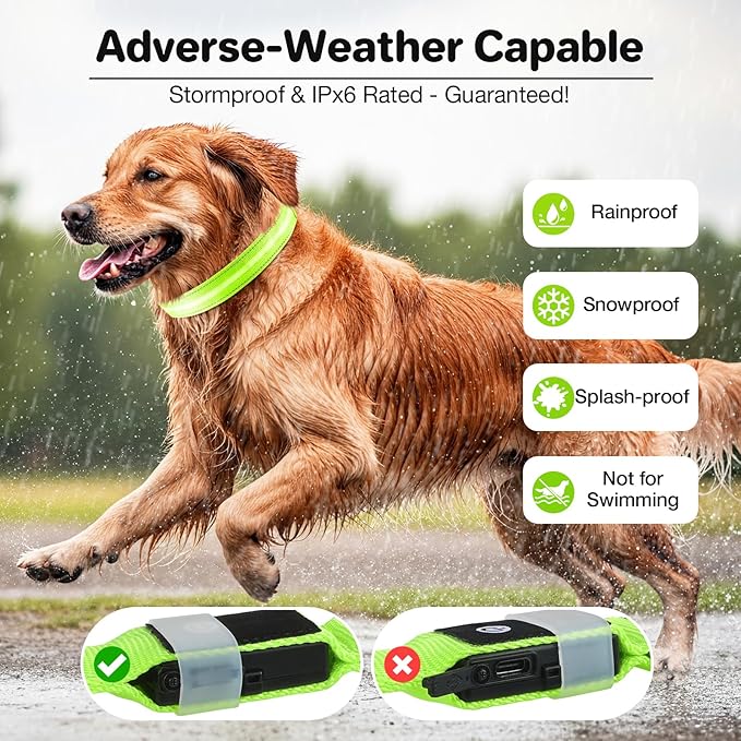 Light Up Dog Collar, USB Rechargeable 6 Modes, Waterproof Charging Port, Long Lasting LED Collar - Adjustable Nylon Reflective for Dogs, Sizes S/M/L (7/9/11 Lights) - 5 Colors (Green, L)