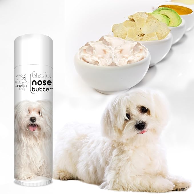 The Blissful Dog Coton De Tulear Unscented Nose Butter, 0.50-Ounce