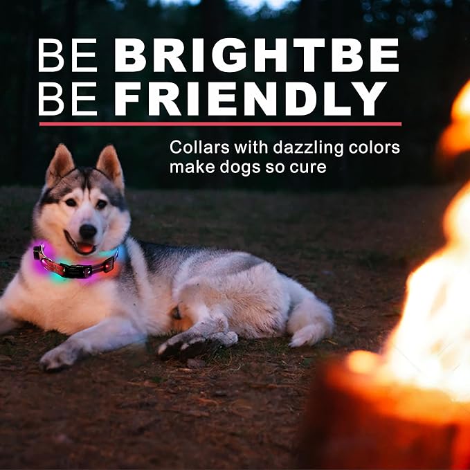Light up Dog Collars,LED Dog Collar Rechargeable,Glow in Dark Dog Lights for Walking at Night for Small Medium, Large Dogs (Purple Pink)