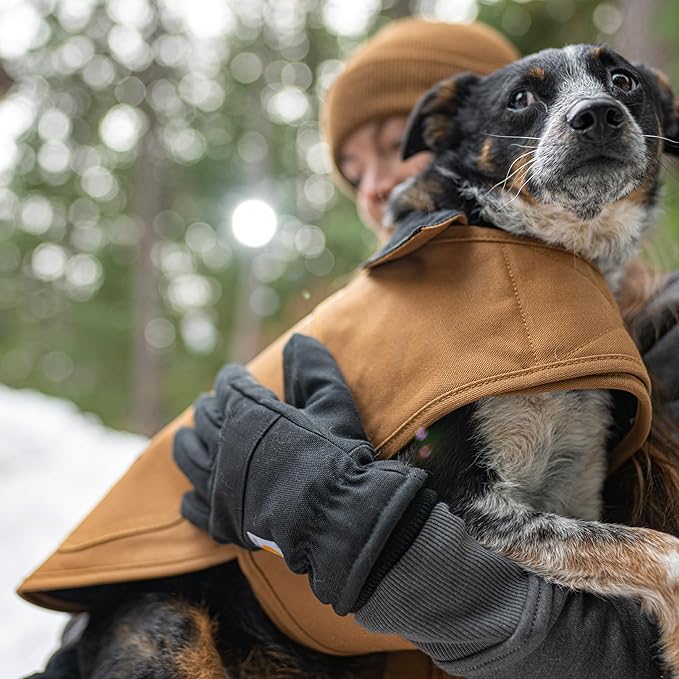 Carhartt Firm Duck Insulated Dog Chore Coat, Durable Weather Resistant Jacket for Cold and Windy Conditions, PFAS Free (Deep Wine), X-Large