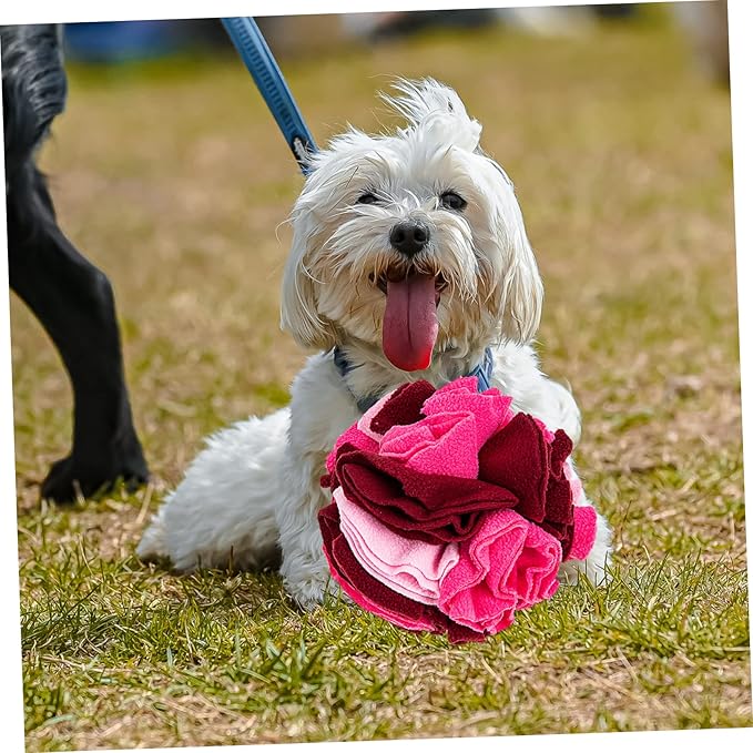 VICASKY Pet Dog Sniff Ball Snuffle Food Puzzle Slow Feeder for Dogs Engaging Interactive Plaything to Reduce Boredom and Stress for Training and Mental Stimulation