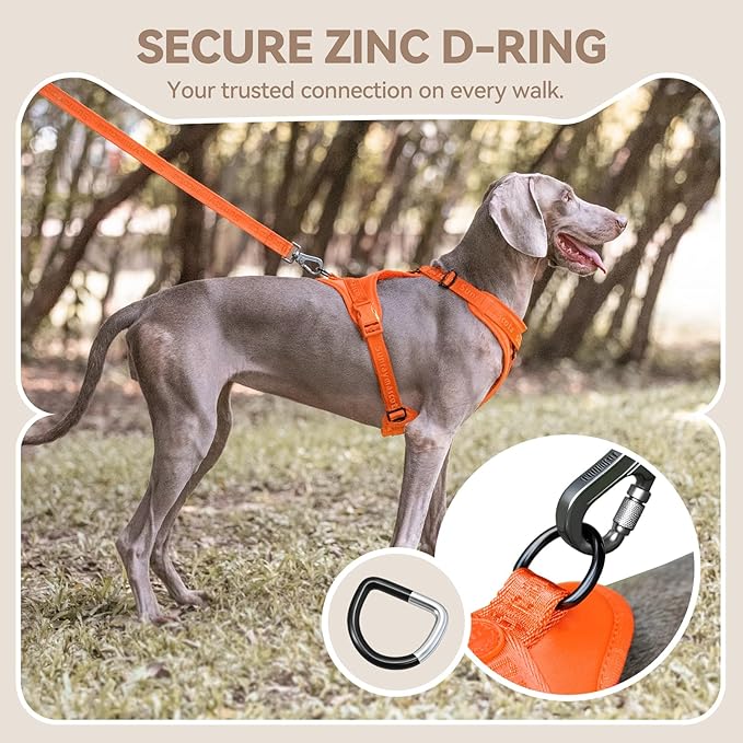 No Pull Dog Harness with Lycra, Three-Point Force Dispersion & 3D Padding, Adjustable Breathable Mesh for Small Medium Large Dogs(Orange,L)