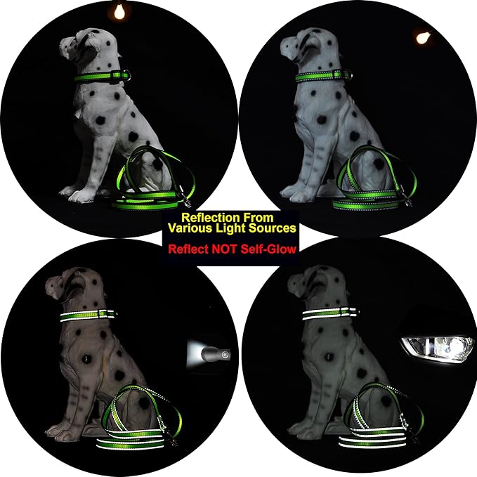 Mile High Life Dog Collar | Nylon Reflective Dog Collars | Light Weight Puppy Collars | Blue Dog Collars for Small Dogs (Blue, Small)