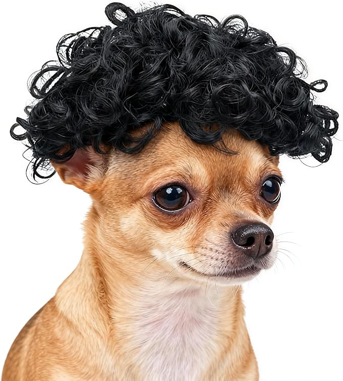 Funny Black Curly Dog Wig with Adjustable Strap - Pet Costume Accessory for Dog & Cat, Halloween, Christmas, Parties, Cosplay & Festivals - Fits Small Medium Large Dogs