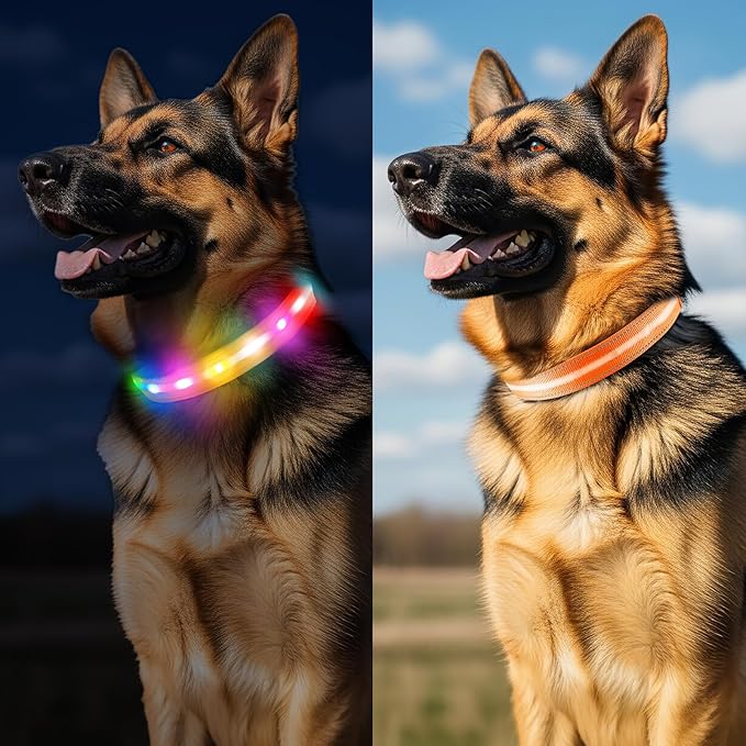 Light Up Dog Collar, USB Rechargeable 6 Modes, Waterproof Charging Port, Long Lasting LED Collar - Adjustable Nylon Reflective for Dogs, Sizes S/M/L (7/9/11 Lights) - 5 Colors (Orange, S)