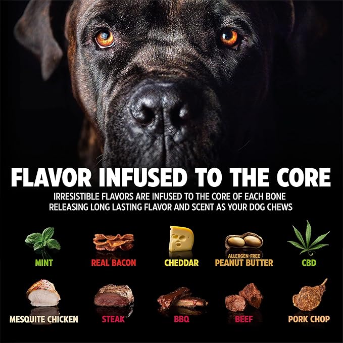 Pet Qwerks Zombie BarkBone - Nylon Dog Bone for Moderate Chewers - Cheddar Cheese Flavor - 9.5"