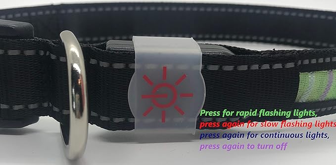 IT'S RIDIC! LED Rainbow Dog Collar Rechargeable via USB (Medium, Red LED)