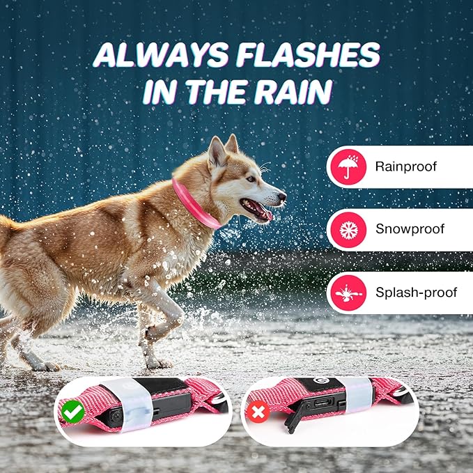RUXAN Light Up Dog Collar,Dog Lights for Night Walking,LED Collars Waterproof,Glow Dog Collars Rechargeable,Glow in The Dark Dog Collar,Dog Collars Light for Small,Medium,Large Dogs (Large,Pink)