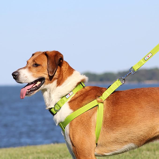 Pawtitas Reflective Step-in Dog Harness – Adjustable No-Pull Vest for Puppies to Seniors, Safe & Comfortable, S Camo Grey