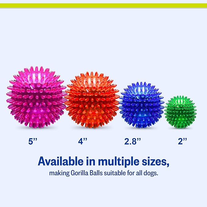 PetSport Gorilla Spiky Ball 4” - Spiky Rubber Dog Ball Toy, Interactive Puppy Toy for Small and Medium Size Dogs, TPR Rubber, Vanilla Scented - 4 Inch, Large