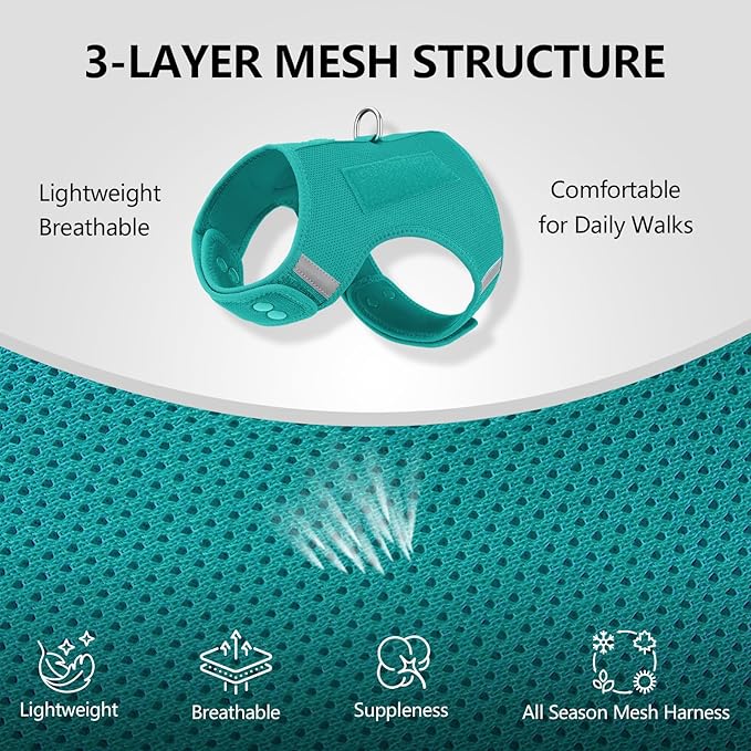 Dog Harness for Puppy – Adjustable Reflective Easy Put On Soft Mesh Vest for Small Dogs with 2 Patches (MARRS Green,XS)
