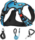 NESTROAD No Pull Dog Vest Harness with Leash, Adjustable Reflective Oxford Pet Harness with Easy Control Handle for Small Dogs, Blue