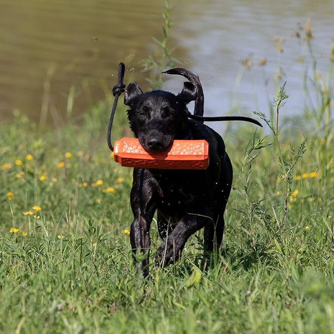 Momarsh Floating Dog Training Bumper | Durable Dummy with Easy Launch Rope | Advanced Waterfowl Hunting Retriever Dog Tool | Enhance Agility and Obedience