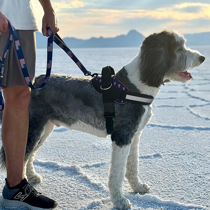 ShawnCo Essential Dog Harness, No-Pull Pet Vest with 3 Leash Clips, No Choke, Reflective, Adjustable and Padded, for Easy Walking and Training for Small, Medium and Large Dogs (USA Flag,XL)