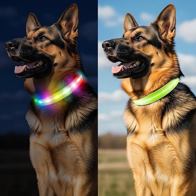 Light Up Dog Collar, USB Rechargeable 6 Modes, Waterproof Charging Port, Long Lasting LED Collar - Adjustable Nylon Reflective for Dogs, Sizes S/M/L (7/9/11 Lights) - 5 Colors (Green, M)