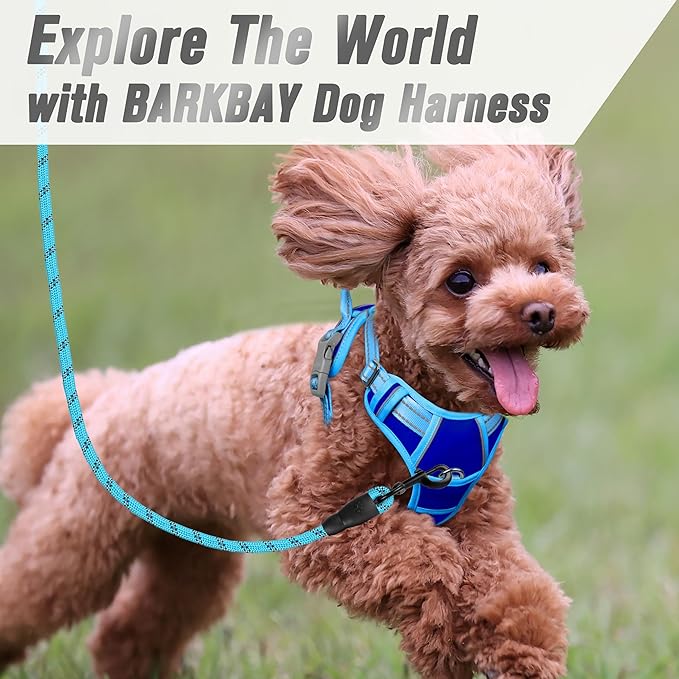 BARKBAY No Pull Dog Harness Front Clip Heavy Duty Reflective Easy Control Handle for Large Dog Walking(Sapphire Blue & Blue,XS)