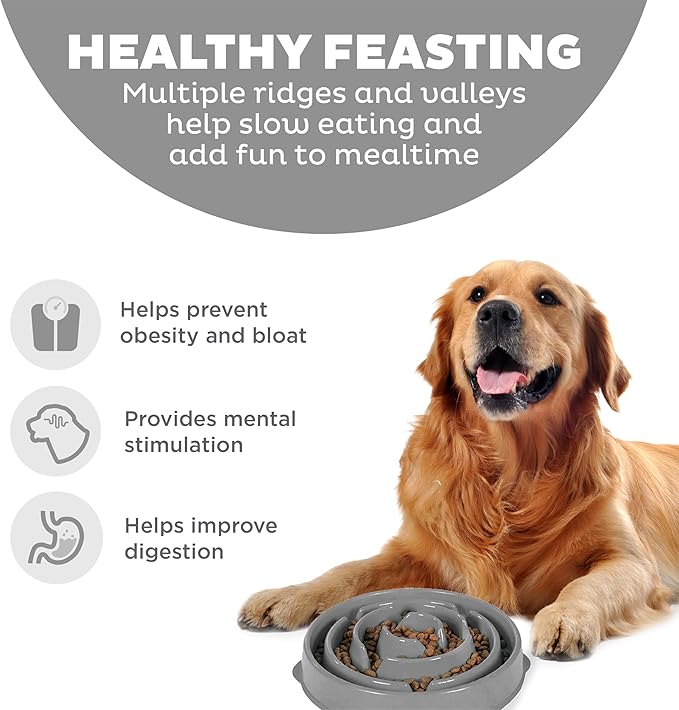 Outward Hound Large Slow Feeder Bowl, Puzzle Maze for Fast Eaters, Medium to Large Dogs, Helps Prevent Bloat & Aid Digestion, Holds 4 Cups Wet or Dry Food, Non-Slip, Made Without BPA, Gray