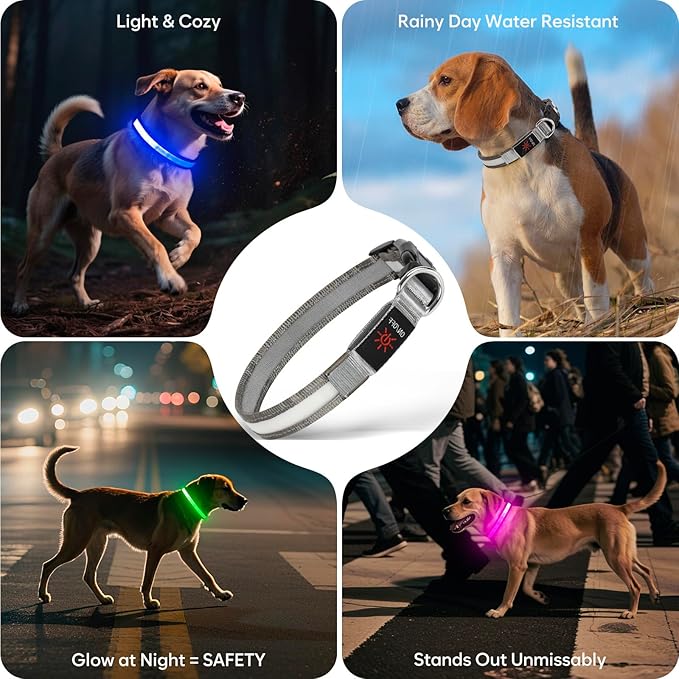 Light up Dog Collar - Multi-Color LED Dog Collar, USB-C Rechargable with Battery Indicator, Waterproof and Adjustable Rainbow Collar for Dogs(Medium)