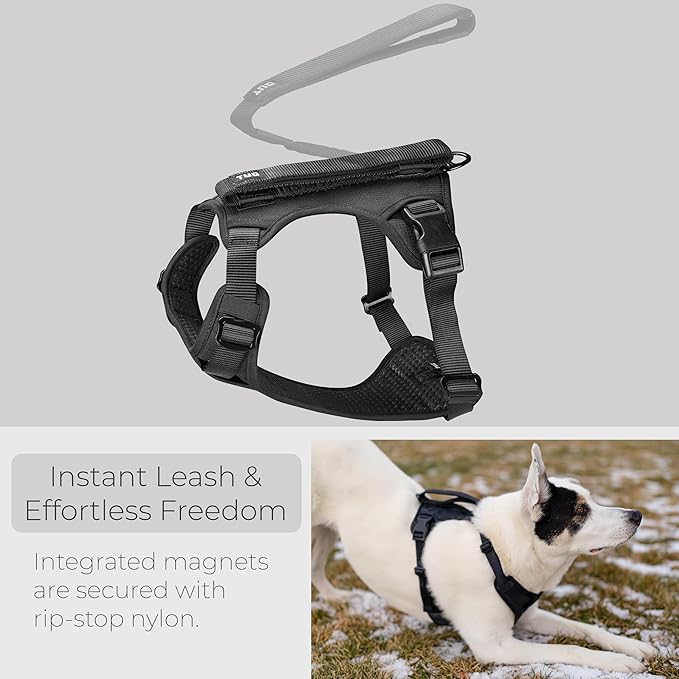 TUG Grab Dog Harness | Integrated Traffic Leash Magnetically Attached for Quick Control (Medium/Black)