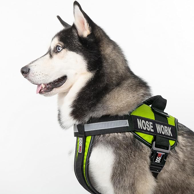 Dogline Vest Harness for Dogs and 2 Removable Nose Work Patches, X-Small/15 to 19", Green
