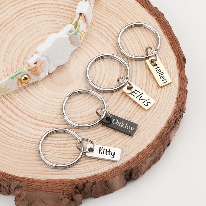 Anavia Small Size Dog Cat ID Tags, Small/XS Personalized Color Plated Stainless Steel Puppy Kitten Name Tags, Customized Engraved Nameplate Pet Collar Tag (Rainbow, XS-Rectangle)