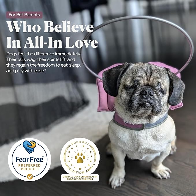 Muffin’s Halo® – The Original Blind Dog Halo | Harness & Bumper Collar Accessory for Safe Navigation & Confidence – Black, Size 5