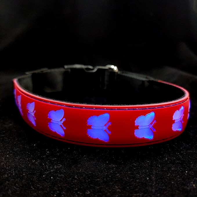 USB-C led Light up Dog Collar, 3D Design Comfortable and Soft Material,Multicolored Lighting，Night Dog Collar (BT-RED, M(15.7-19.7"))
